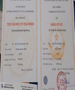 Buy college degree from the The University of Da nang