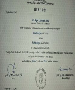 Buy college degree from The Vysoká škola ekonomická v Praze